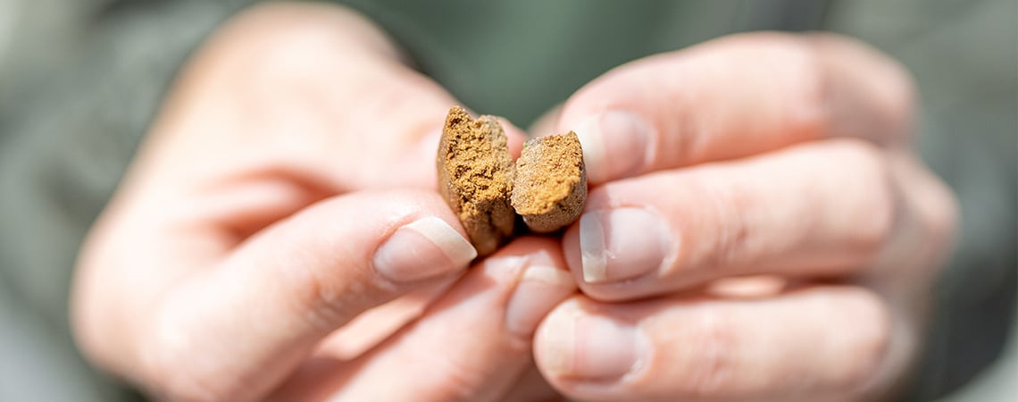 Hoe Herken Je Hoogwaardige Hasj?